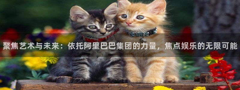 杏宇平台注册：聚焦艺术与未来：依托阿里巴巴集团的力量，焦点娱乐的无限可能