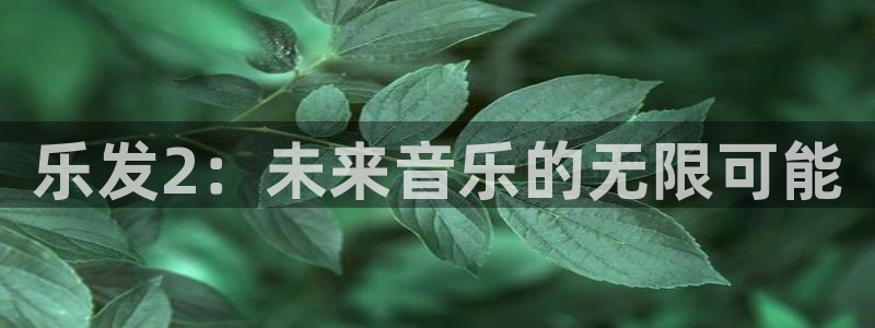 杏宇体育官网：乐发2：未来音乐的无限可能