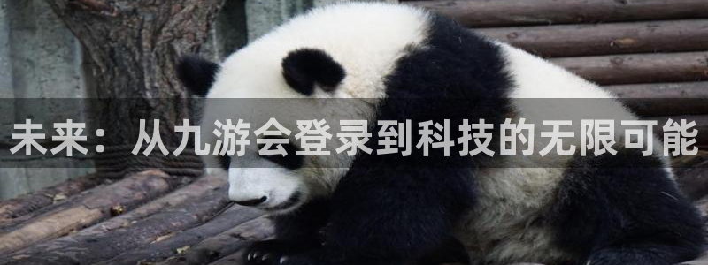 杏宇体育老板是谁：未来：从九游会登录到科技的无限可能