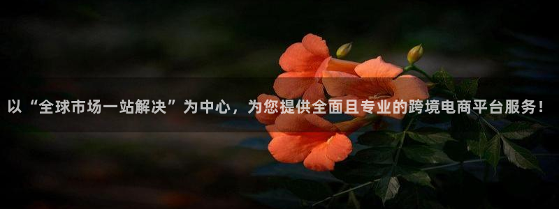 杏宇3登录：以“全球市场一站解决”为中心，为您提供全面且专业的跨境电商平台服务！