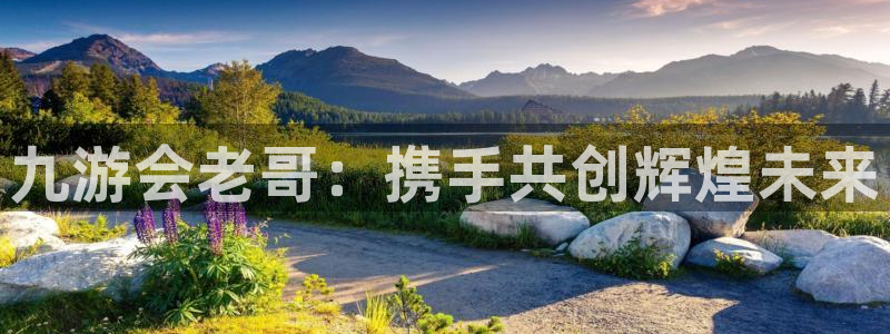 杏宇2登录入口：九游会老哥：携手共创辉煌未来