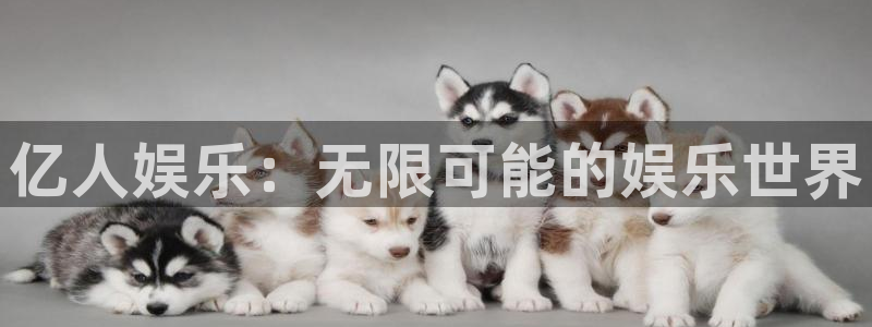 杏宇官网入口：亿人娱乐：无限可能的娱乐世界