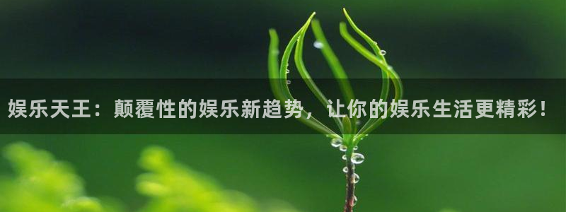 杏宇体育网页版入口：娱乐天王：颠覆性的娱乐新趋势，让你的娱乐生活更精彩！