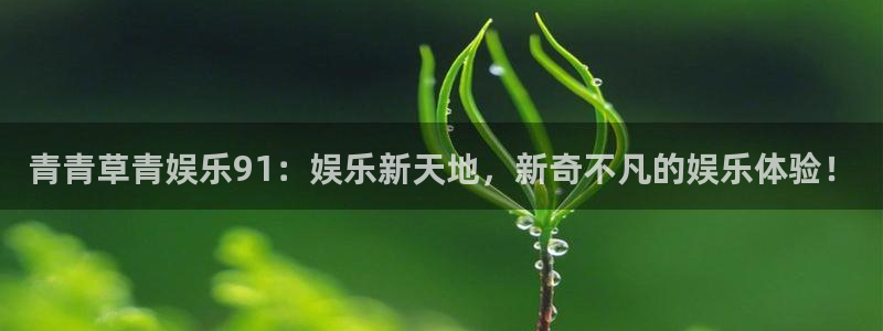 杏宇主管：青青草青娱乐91：娱乐新天地，新奇不凡的娱乐体验！