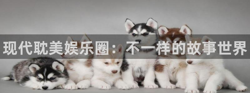 杏宇体育平台开号链接：现代耽美娱乐圈：不一样的故事世界