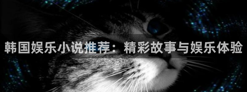 杏宇现在优惠多少：韩国娱乐小说推荐：精彩故事与娱乐体验