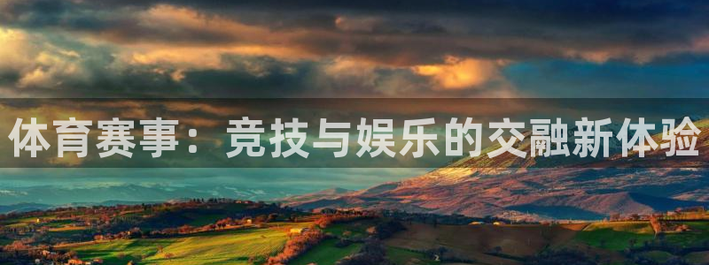杏宇kgame：体育赛事：竞技与娱乐的交融新体验