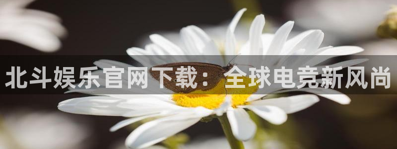 杏宇4开户：北斗娱乐官网下载：全球电竞新风尚