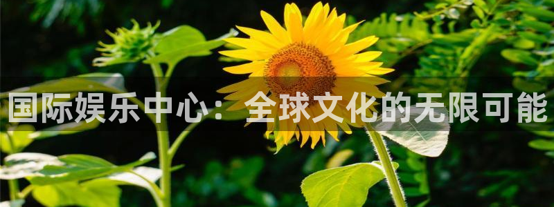 杏宇平台开户链接：国际娱乐中心：全球文化的无限可能