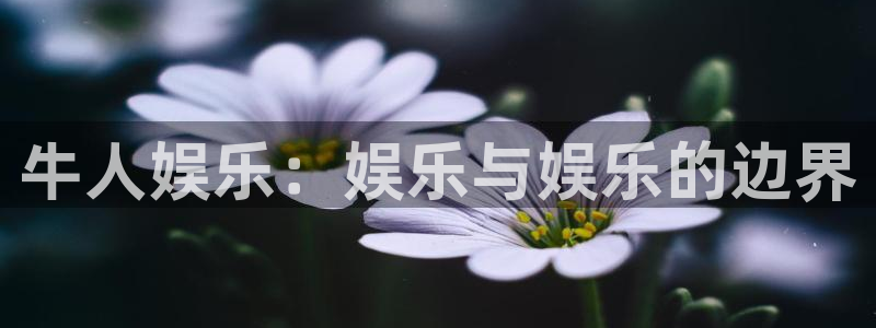 杏宇5注册：牛人娱乐：娱乐与娱乐的边界