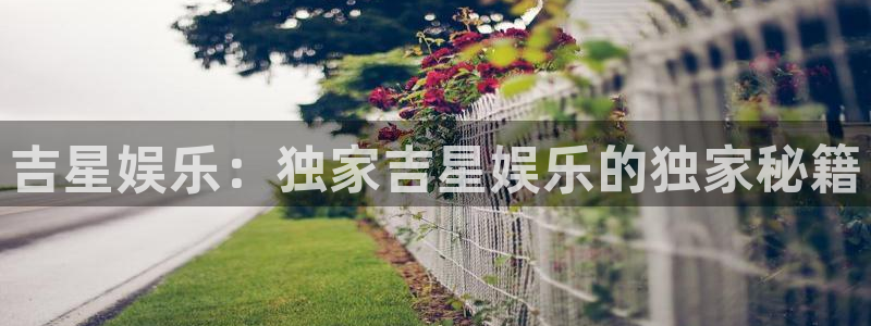 杏宇体育3在线注册：吉星娱乐：独家吉星娱乐的独家秘籍