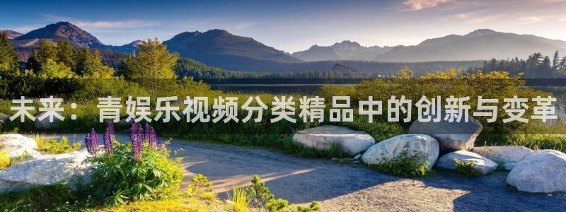 佛山市南海杏宇机电仪器有限公司：未来：青娱乐视频分类精品中的创新与变革