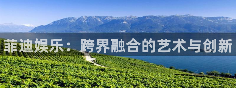 杏宇2官网：菲迪娱乐：跨界融合的艺术与创新