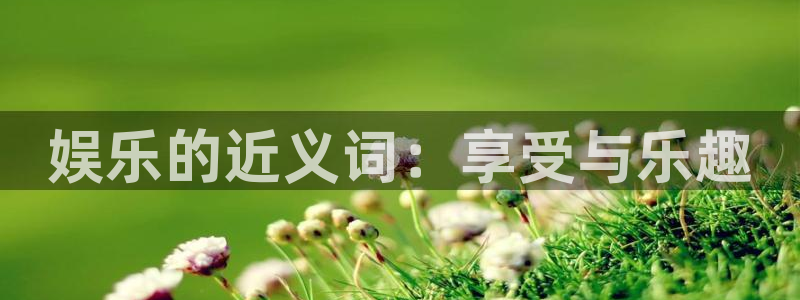 杏宇4注册：娱乐的近义词：享受与乐趣
