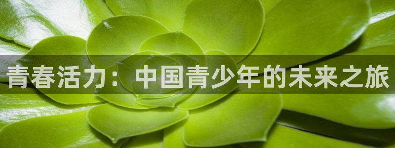 杏宇官网：青春活力：中国青少年的未来之旅