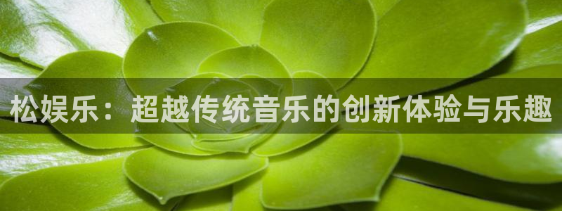 杏宇体育免费注册入口：松娱乐：超越传统音乐的创新体验与乐趣