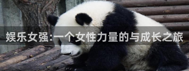 杏宇平台主管：娱乐女强:一个女性力量的与成长之旅