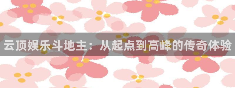 杏宇平台总代理