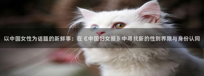 杏宇体育2官网入口