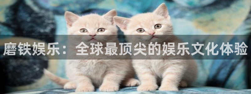 杏宇体育2官网入口：磨铁娱乐：全球最顶尖的娱乐文化体验