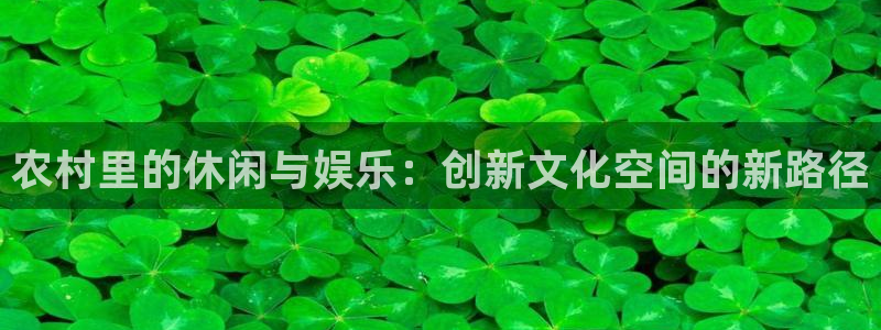 杏宇股份：农村里的休闲与娱乐：创新文化空间的新路径
