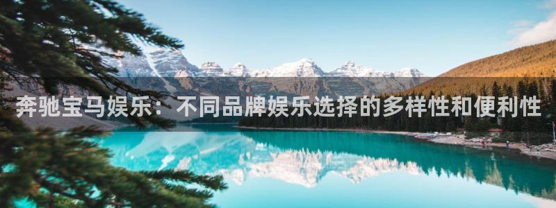 杏宇凯捷注册：奔驰宝马娱乐：不同品牌娱乐选择的多样性和便利性