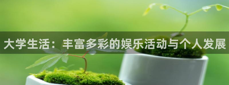 杏宇能源：大学生活：丰富多彩的娱乐活动与个人发展