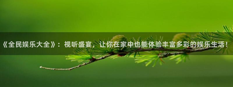 杏宇f凯捷注册：《全民娱乐大全》：视听盛宴，让你在家中也能体验丰富多彩的娱乐生活
