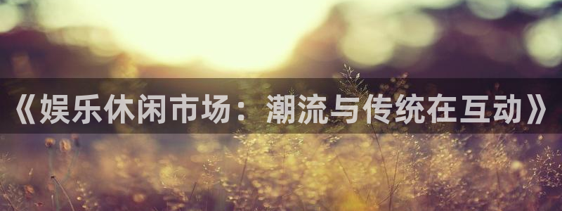杏宇登录：《娱乐休闲市场：潮流与传统在互动》