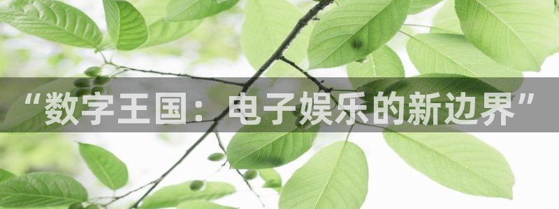 杏宇登录注册：“数字王国：电子娱乐的新边界”