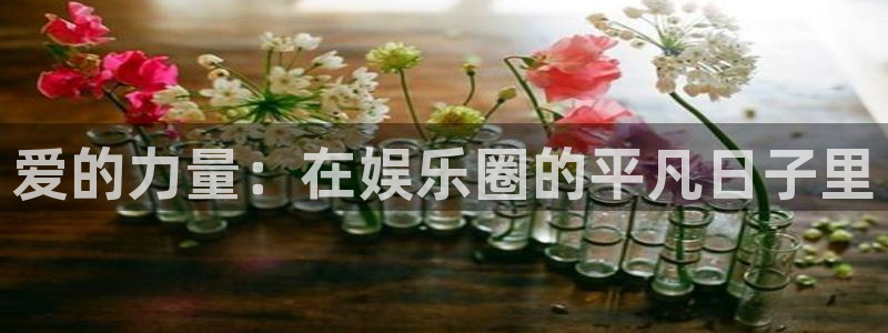 杏宇k：爱的力量：在娱乐圈的平凡日子里